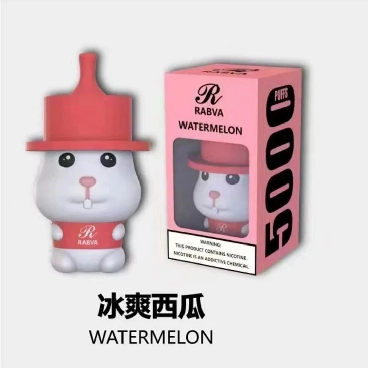 Rabva 5000 Puffs Vape best