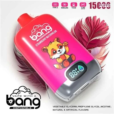 Y a-t-il des restrictions pour voyager avec un Bang Vape?