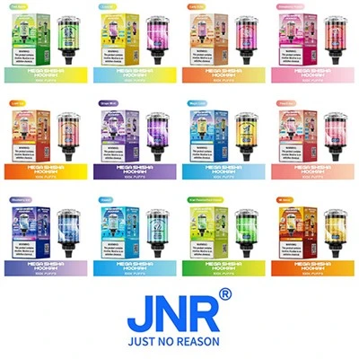 Puis-je utiliser une vape jetable avec une saveur spécifique de jus E - Juice?